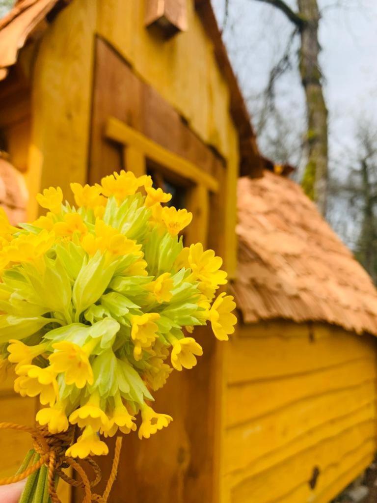 Camping Ushuaia Villages Au Bois Joli アンドリユ エクステリア 写真